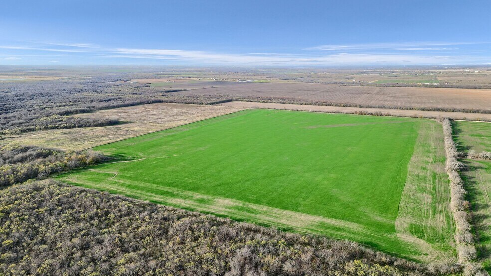 More Photos Of TBD Wall St Rd, Gunter Land For Sale
