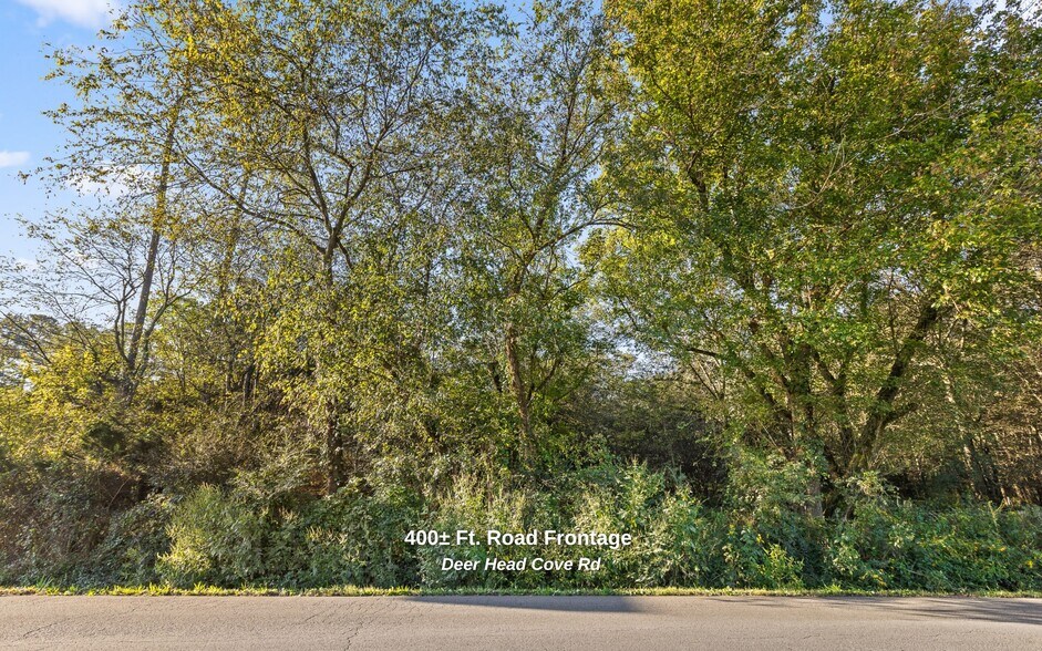 More Photos Of 0 Deer Head Cove Road, Rising Fawn Land For Sale