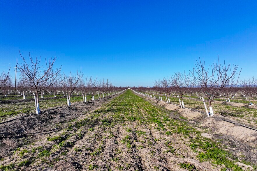 More Photos Of 15116 Allen rd, Snelling Land For Sale