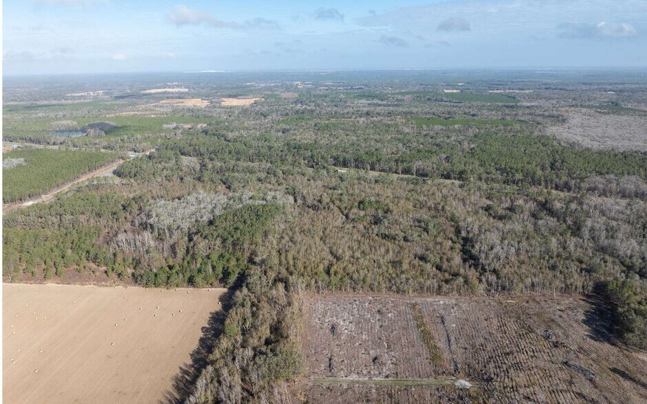 More Photos Of TBD CR 137 & I-10, Wellborn Land For Sale