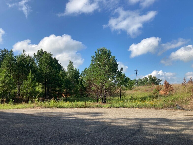 More Photos Of W Mathews Trl, Jonesboro Land For Sale