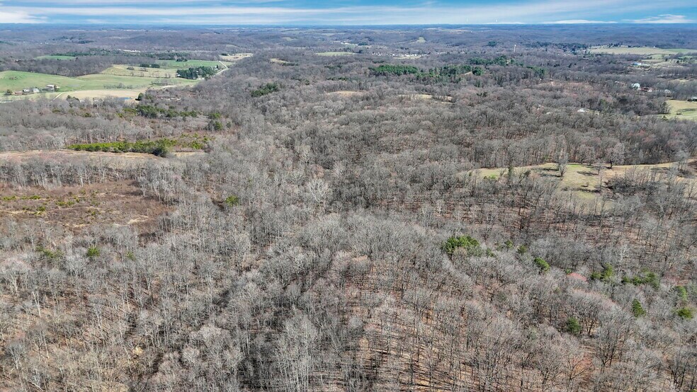 Primary Photo Of 2896 Adelphia State Rd, Wellston Land For Sale