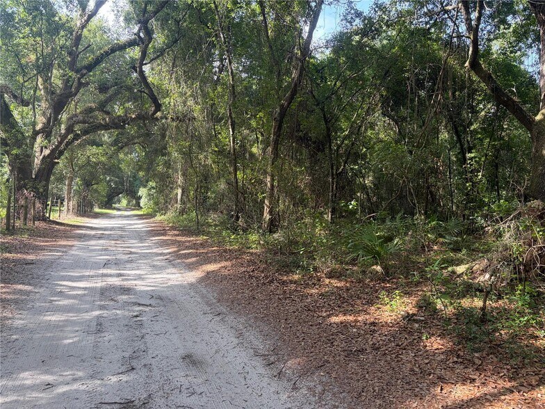 Primary Photo Of County Road 738, Webster Land For Sale