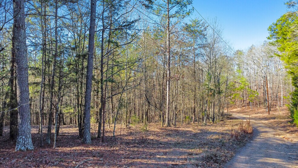 More Photos Of 277 Bethel Church Rd SE, Silver Creek Land For Sale