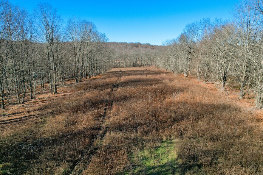 More Photos Of 263 Como Rd, Lake Como Specialty For Sale