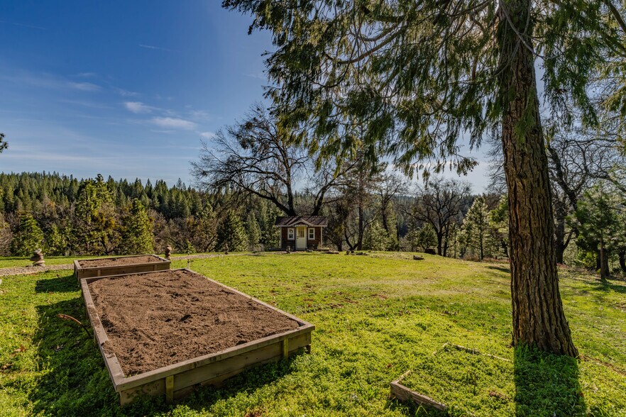 More Photos Of 7401 Schaad Rd, Wilseyville Land For Sale