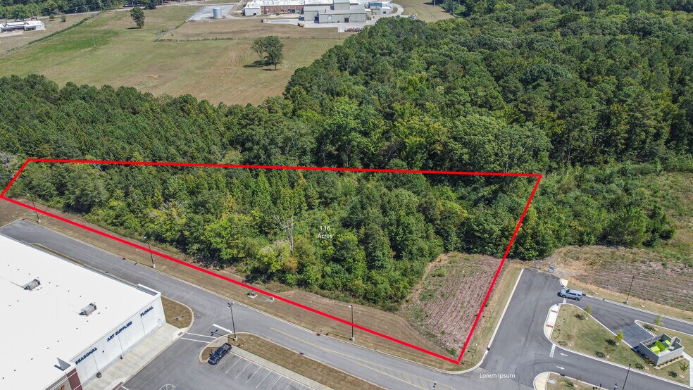 More Photos Of 115-145 Mcs Blvd, Sylacauga General Retail For Lease