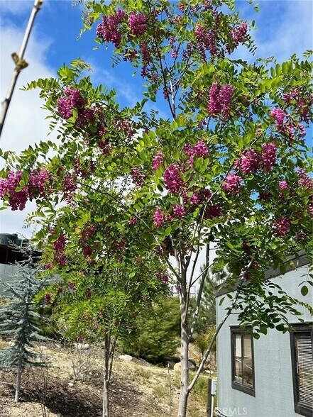 More Photos Of 0 CA-371 St, Aguanga Land For Lease