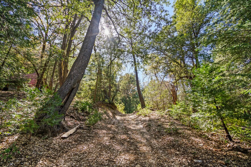 More Photos Of Palomar Divide Truck Trail, Palomar Mountain Land For Sale