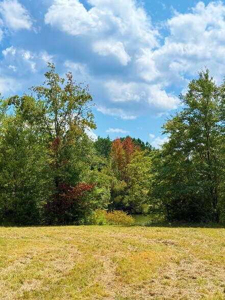 More Photos Of 2784 Furman L Fendley Hwy, Jonesville Land For Sale