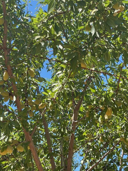 More Photos Of 0 Twin Cities rd, Herald Land For Sale