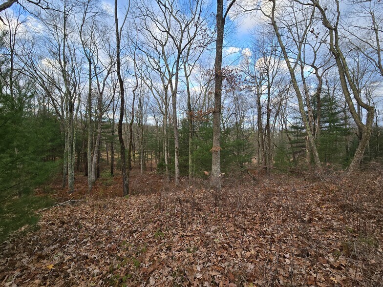 More Photos Of 3 Bond Ct, Milford Land For Sale