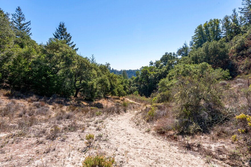 More Photos Of 2372 McKenzie Creek rd, Scotts Valley Land For Sale