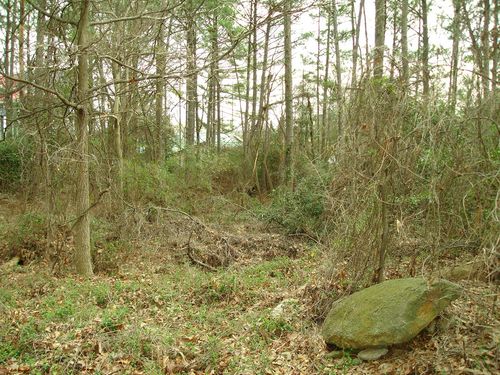 More Photos Of 1561-1565 Moreland Ave, Atlanta Land For Sale