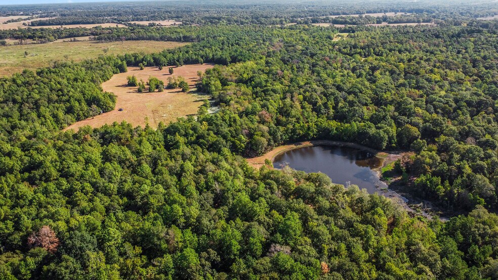 More Photos Of 15863 Rogers, Willis Land For Sale