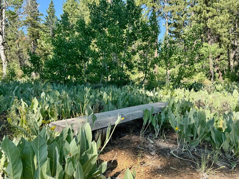 More Photos Of 320 Independence Lake Rd, Sierraville Lodge Meeting Hall For Sale