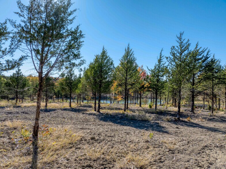 More Photos Of TBD Ward Neal Road, Bells Land For Sale