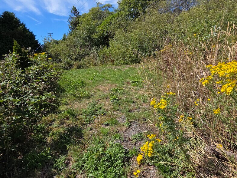 More Photos Of 15282 Highway 101, Brookings Land For Sale