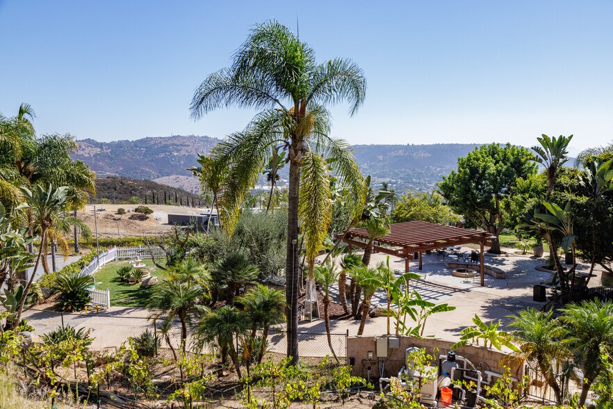 More Photos Of 2286 Sunshine Mountain Rd, San Marcos Winery Vineyard For Sale