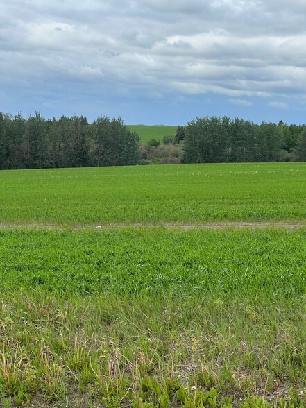 More Photos Of 714002 Range Road 85, Wembley Land For Sale