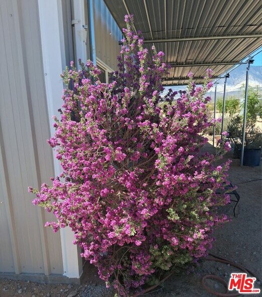 More Photos Of 9025 Camp Rock Rd, Lucerne Valley Veterinarian Kennel For Sale