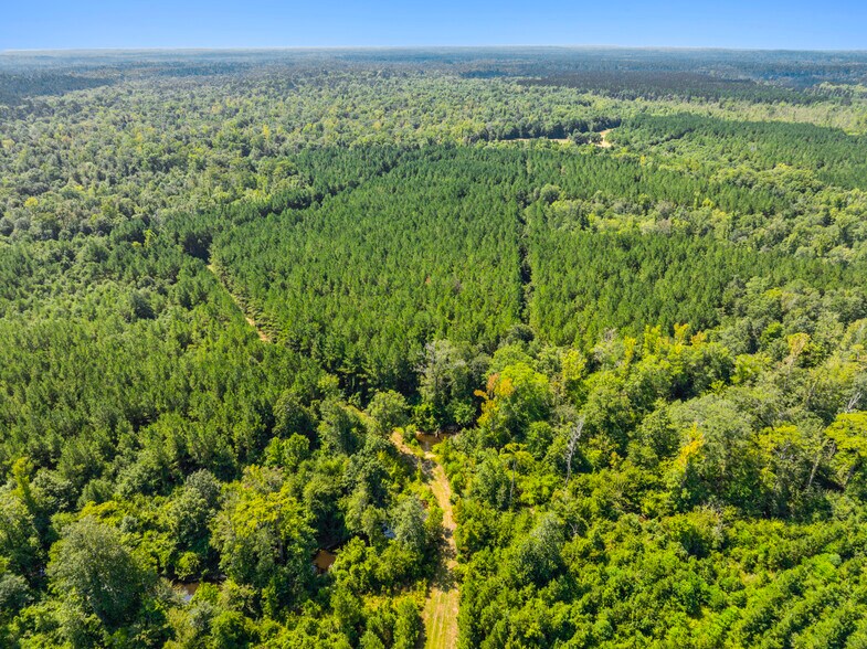 More Photos Of 7471 Highway 155, Saline Land For Sale