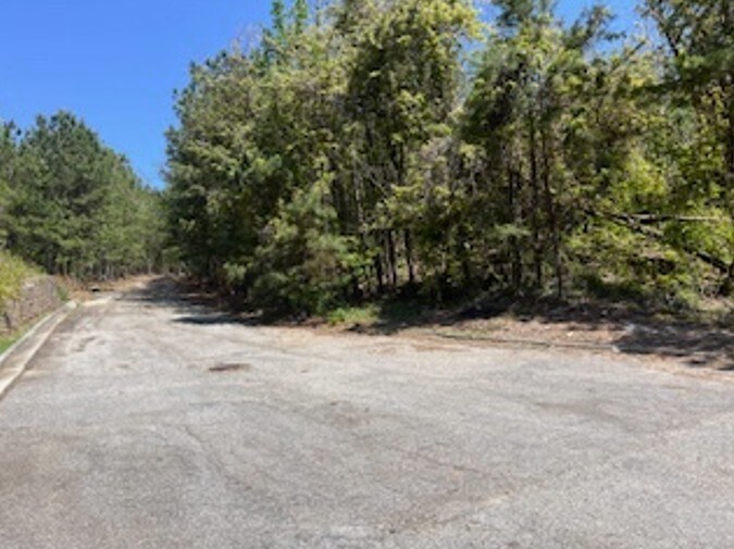 More Photos Of 4107 Danforth SW Rd, Atlanta Land For Sale