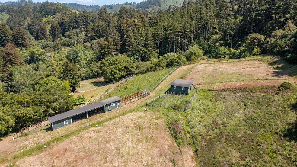 More Photos Of 5090 La Honda Rd, San Gregorio Land For Sale