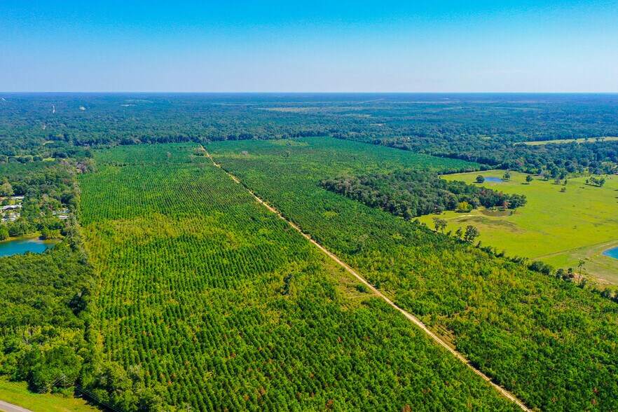 More Photos Of FM 1010 @ Loop 105, Cleveland Land For Sale