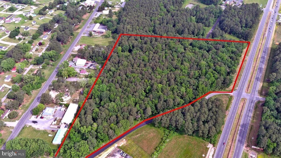 Primary Photo Of N. Ocean Hwy., Delmar Land For Sale