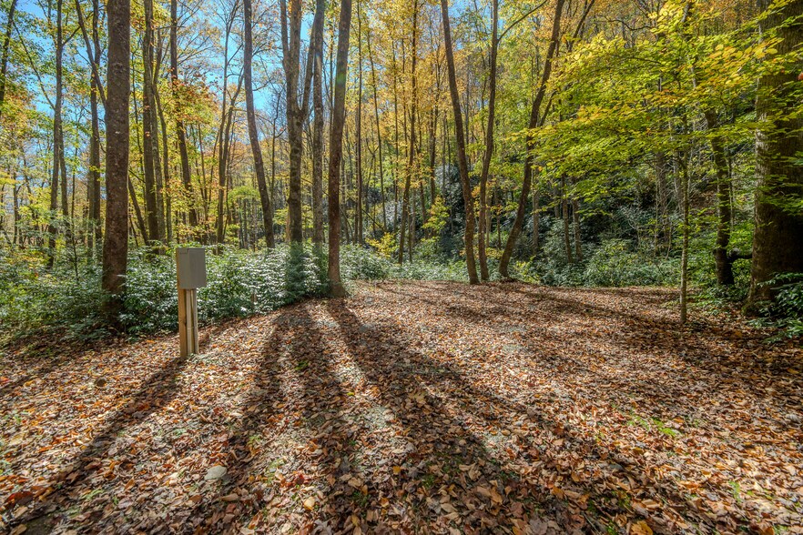 More Photos Of 195 Still Waters Ln, Brevard Land For Sale