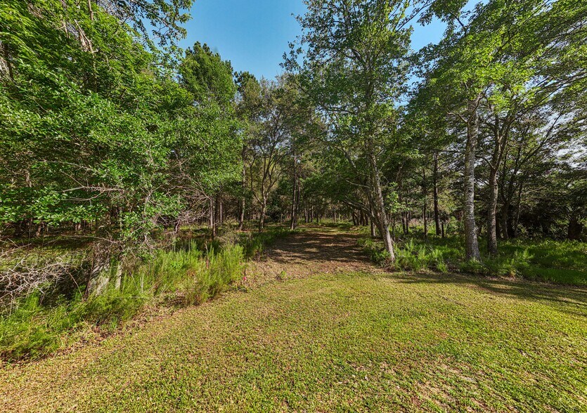 More Photos Of 0 King Rail Lane, Edisto Island Land For Sale