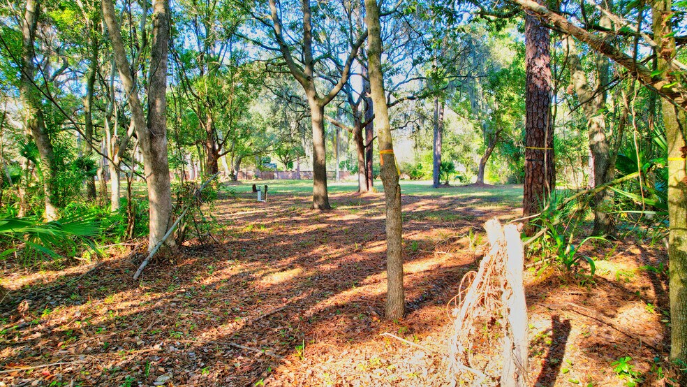 More Photos Of 6501 Gant Rd, Tampa Land For Sale