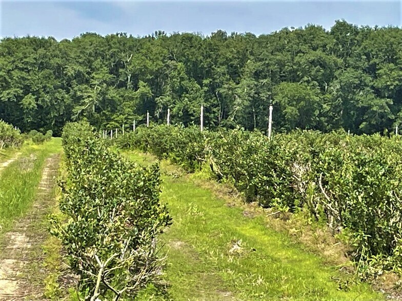 More Photos Of Harmony Road, Meigs Land For Sale