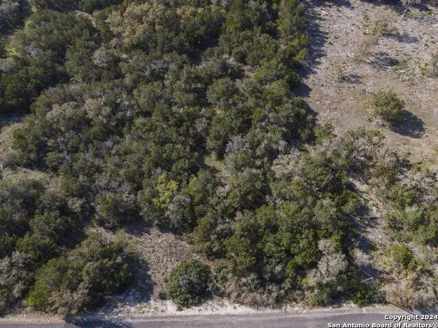 Primary Photo Of 82 County Road 273, Mico Land For Sale