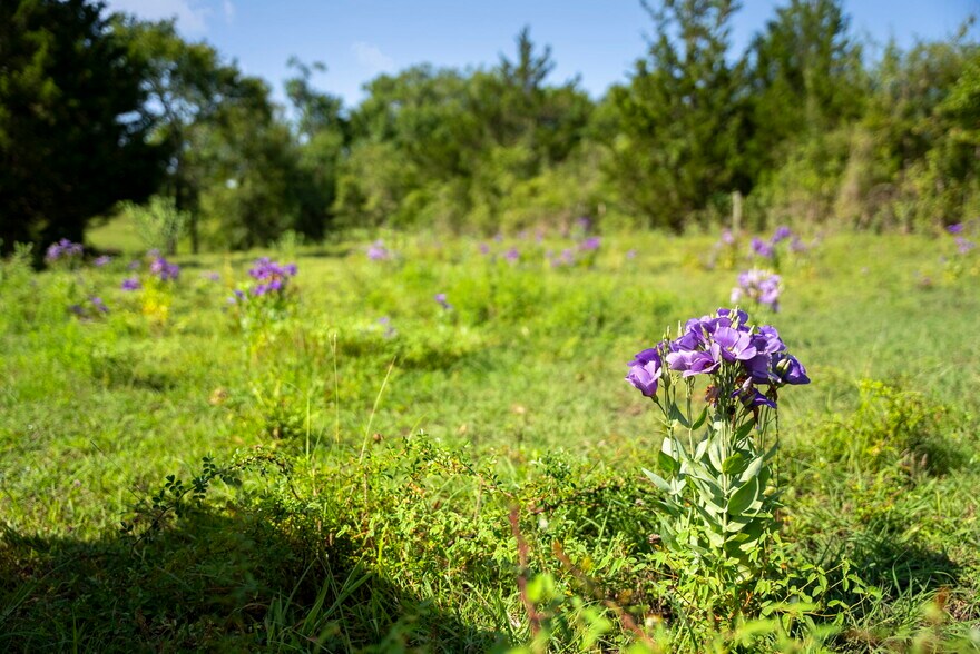 More Photos Of 18121 TX-105, Plantersville Land For Sale