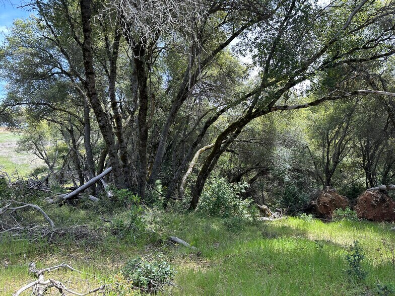 More Photos Of Hawk Haven Lane, Somerset Land For Sale