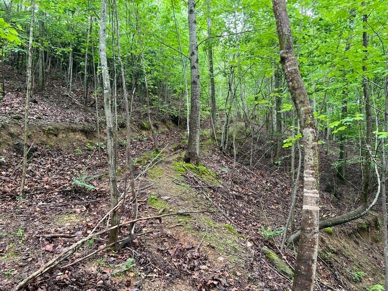 More Photos Of 395 Able rd, Waleska Land For Sale