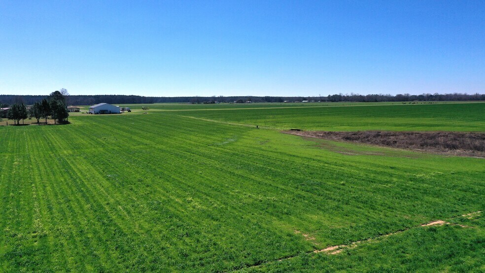 More Photos Of Lot 3 McCullough Road, Atmore Land For Sale