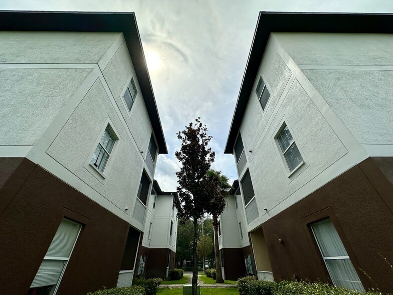 More Photos Of 13009 Kain Palms Ct, Tampa Dormitory For Sale