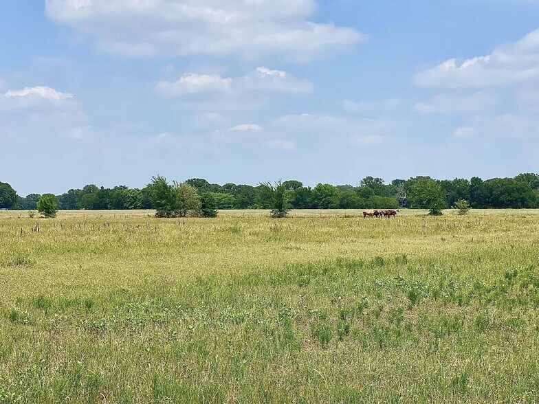 More Photos Of 12053 S State Hwy 34, Scurry Land For Sale
