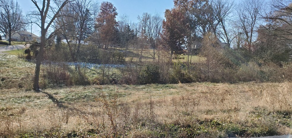 More Photos Of 274 E 2nd St, Moscow Mills Land For Sale