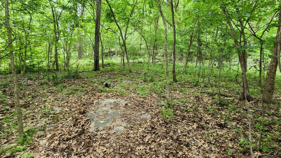 More Photos Of Near 5370 Deerfoot Parkway Pky, Trussville Land For Sale