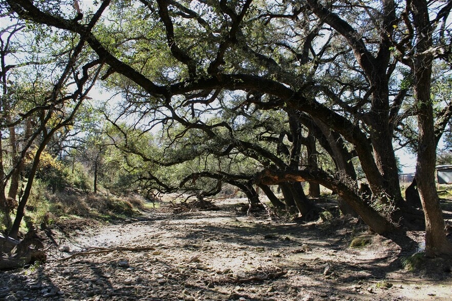 More Photos Of 2874 County 4630 rd, Kempner Land For Sale