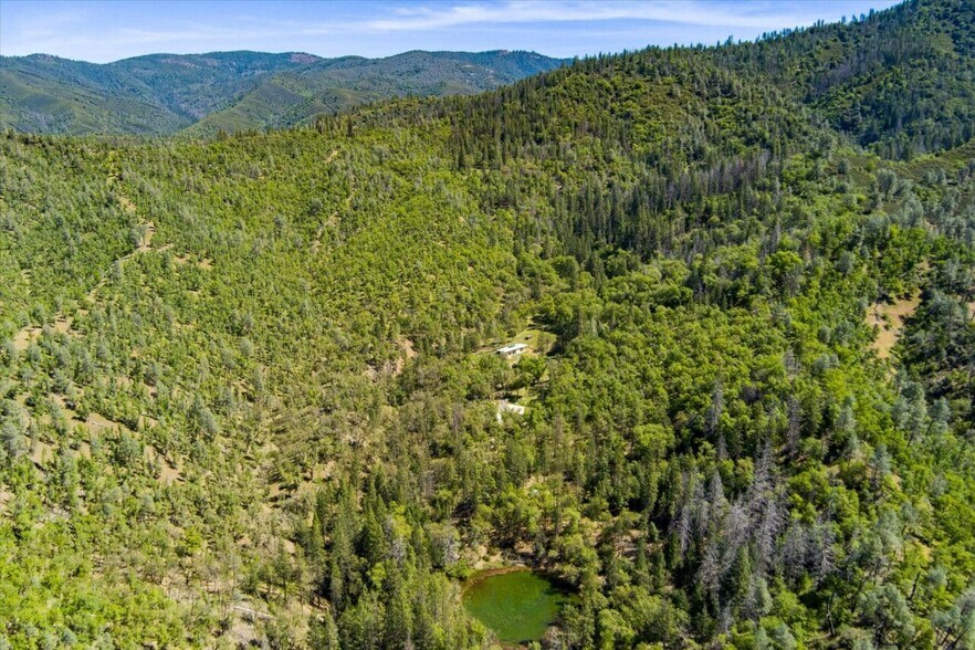 More Photos Of 6691 Reading Creek Rd, Douglas City Land For Sale