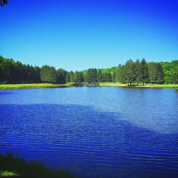 More Photos Of 144 Bel Meadow Dr, Mount Clare Golf Course Driving Range For Sale
