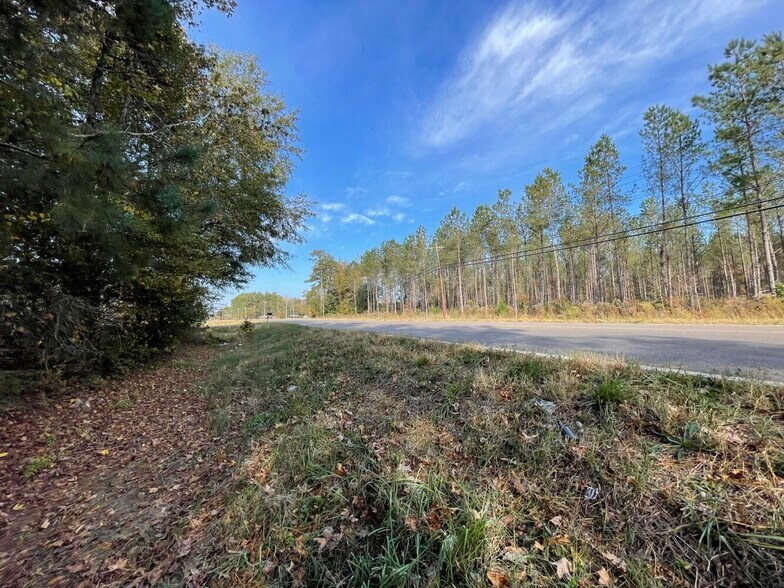 More Photos Of 0 Hwy 69 South, Columbus Land For Sale