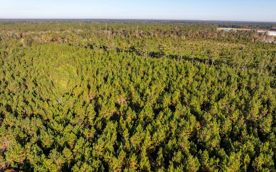 More Photos Of CR 137, Wellborn Land For Sale