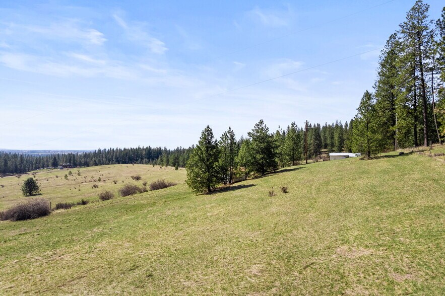More Photos Of 15809 N Scribner Branch Rd, Spokane Land For Sale