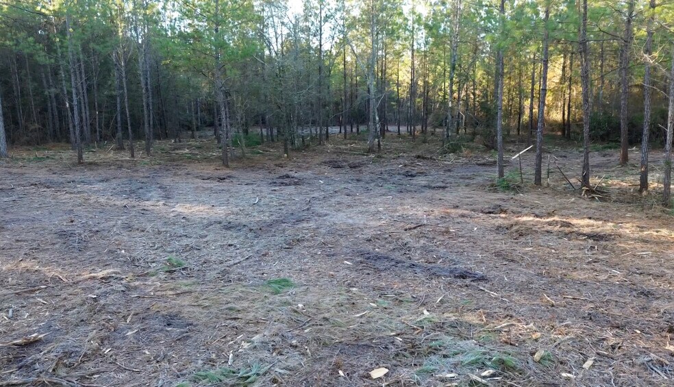 More Photos Of 319 - 547 Sisters Ferry Road, Ridgeland Land For Sale